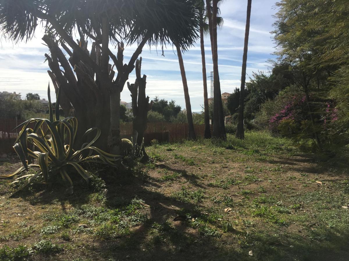 Paloma Bed & Breakfast 3*