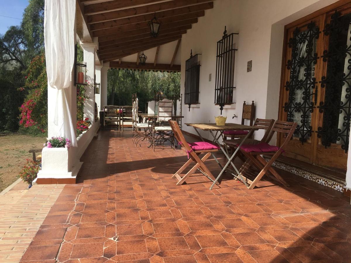 Paloma Bed & Breakfast Benajarafe