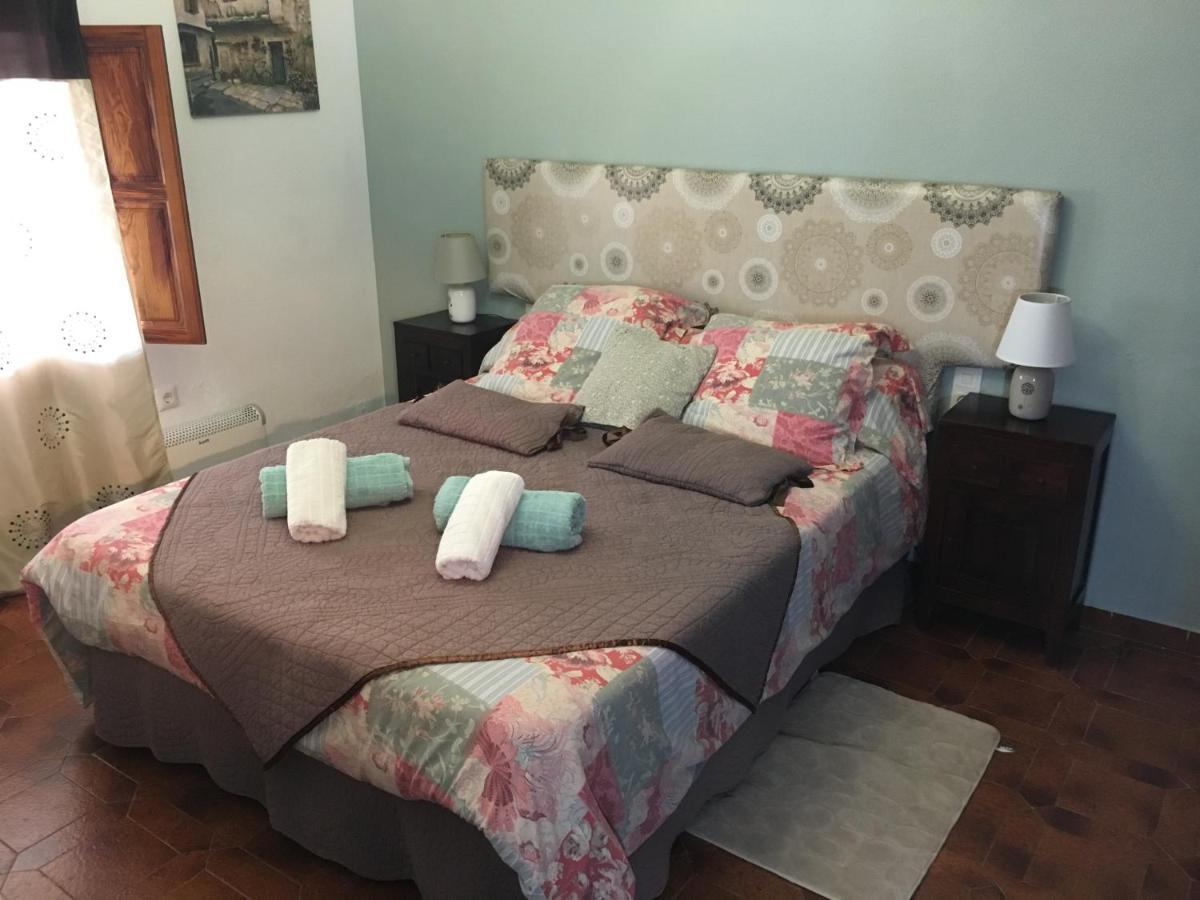 Paloma 3*
