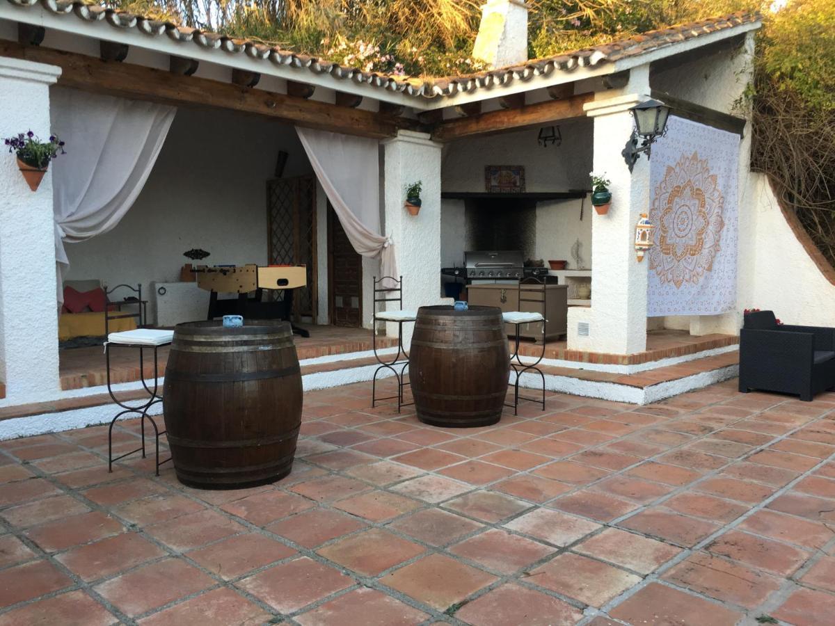 Paloma 3*